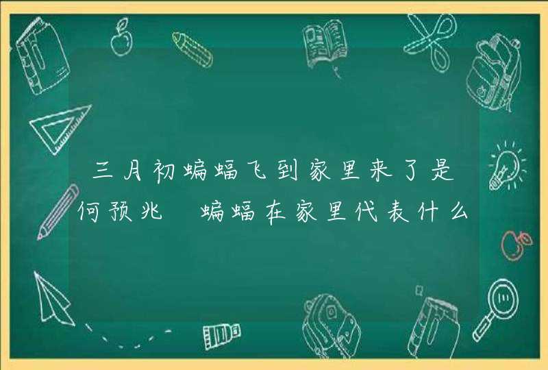 三月初蝙蝠飞到家里来了是何预兆 蝙蝠在家里代表什么意思